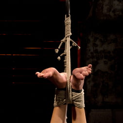 Hot flexible blond suffers a Category 5 suspension. Anal hook, heavy nipple weights, made to cum.
