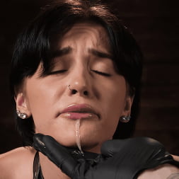 ロザリンスフィンクス:過酷な束縛、苦しみとシビアン!