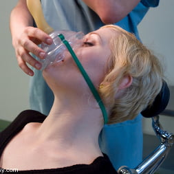 The Dentist