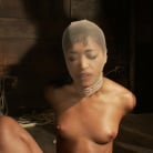 Skin Diamond in 'Bound with brutal black rubber bands They dig in and constrict, skin is made to squirt and suck cock.'