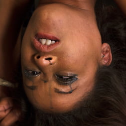 Penthouse Pet, Skin Diamond, is Devastated in Brutal Bondage