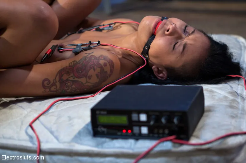 Skin Diamond - Skin Diamond, Back for More! | Picture (12)