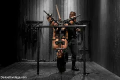 Skin Diamond - Skin Diamond gets roughed up by Jack Hammer in their first scene together | Picture (7)