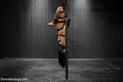Skin Diamond - Skin Diamond gets roughed up by Jack Hammer in their first scene together | Picture (10)