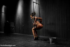 Skin Diamond - Skin Diamond gets roughed up by Jack Hammer in their first scene together | Picture (19)
