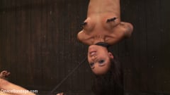 Skin Diamond - The ab predicament and the upside down orgasms | Picture (10)