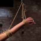 Tiffany Tyler in 'Sexy, tall, long legged, tan girl next door Brutal bondage, neck rope, breath play, made to come!'