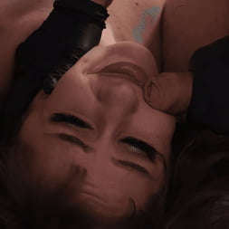 Compromised: Tommy Pistol Interrogates Tommy King's Holes