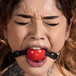 Nasty Fucking Bitch: Vanessa Vega