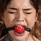 Vanessa Vega in 'Nasty Fucking Bitch: Vanessa Vega'