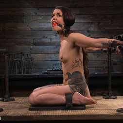 Vanessa Vega: Fresh Meat Lays It All On The Line