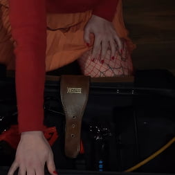 家のシッター:巨乳ピンナップベイブベロニカローズが降りる