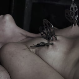 Diary of a Madman, Episode 1: 'The Hunt'