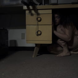 Diary of a Madman, Episode 3: 'The Test'
