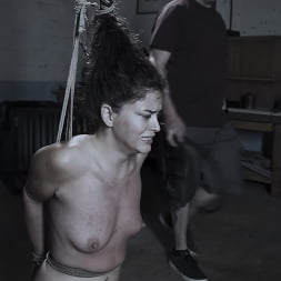 Diary of a Madman, Episode 3: 'The Test'