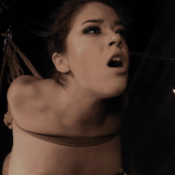 The Escort: Victoria Voxxx and Derrick Pierce