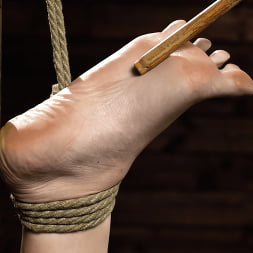 Victoria Voxxx: Brutal Bondage