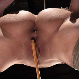 Victoria Voxxx: Brutal Bondage