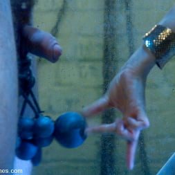 The Adjustment of Wolf Hudson: Episode 3 Aquaphobia