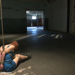 Tied up and Taken Down!