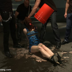 Tied up and Taken Down!