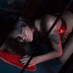 Zlata Shine Is Hungry For More of Sabien Demonia